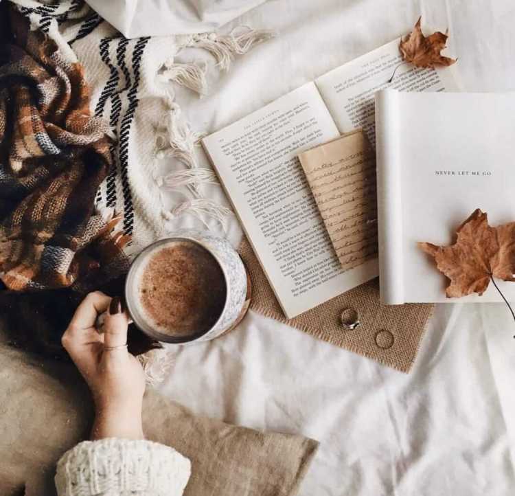 Acurrucaíta entre libros