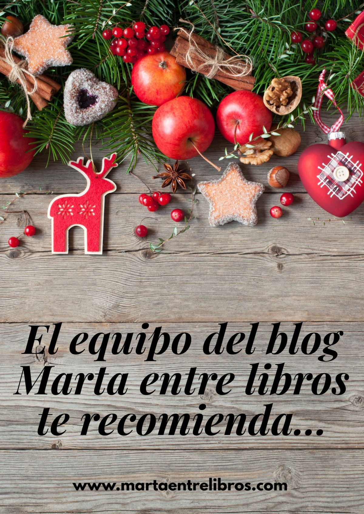 El equipo del blog Marta entre libros te&nbsp;recomiendan